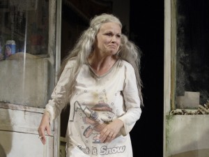Julie Walters in The Last of the Haussmans. Photo: Catherine Ashmore