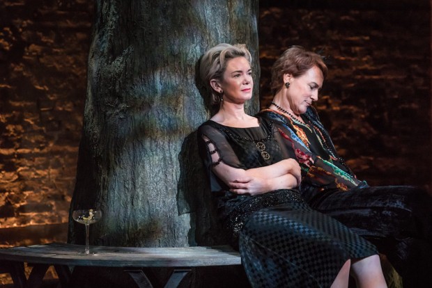 Victoria Hamilton and Helen Schlesinger in Albion. Photo: Marc Brenner