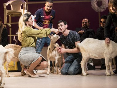 The cast of Goats. Photo: Johan Persson