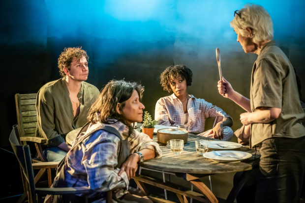 Tom Mothersdale, Thusitha Jayasundera, Grace Saif and Geraldine Alexander in Sea Creatures. Photo: Marc Brenner