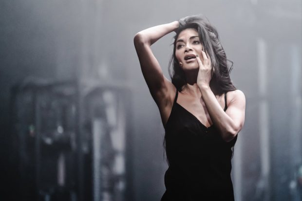 Nicole Scherzinger in Sunset Boulevard. Photo: Marc Brenner